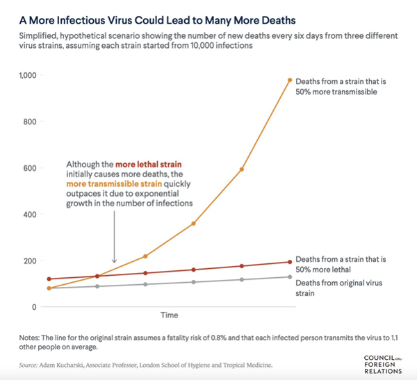 Assumption graph on fatality rate from new virus strain