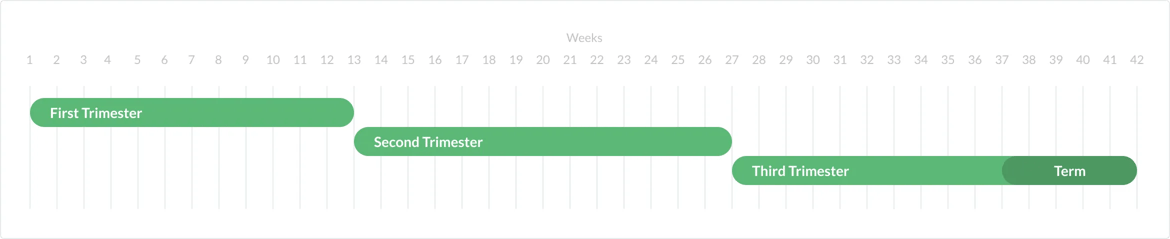 img-pregnancy-calculator-timeline